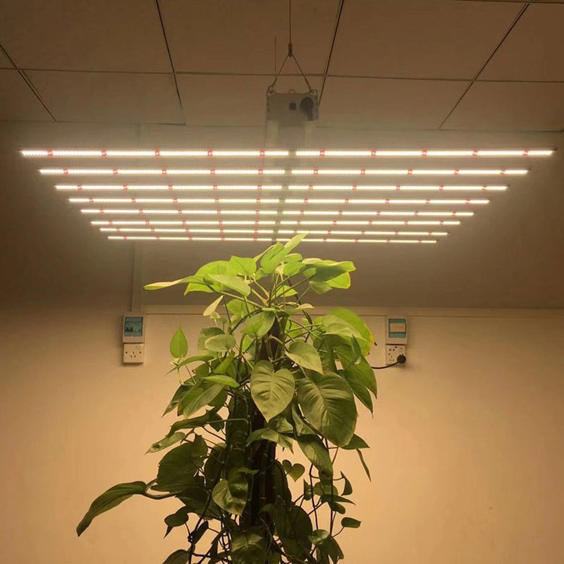 AC220V LED Plant Growth Light 320watt/640watt/1000watt Used for Green Plant